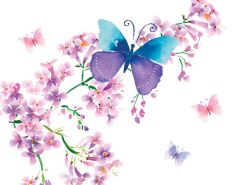 1369 Butterfly